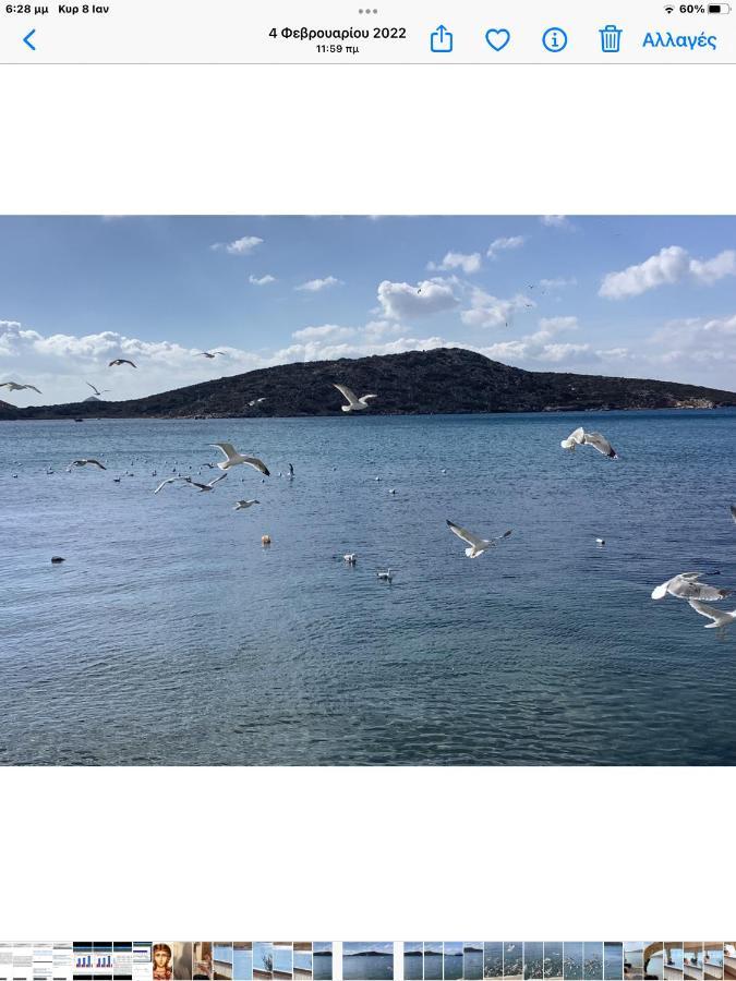 Studios Akrogialli Λειψοί Εξωτερικό φωτογραφία